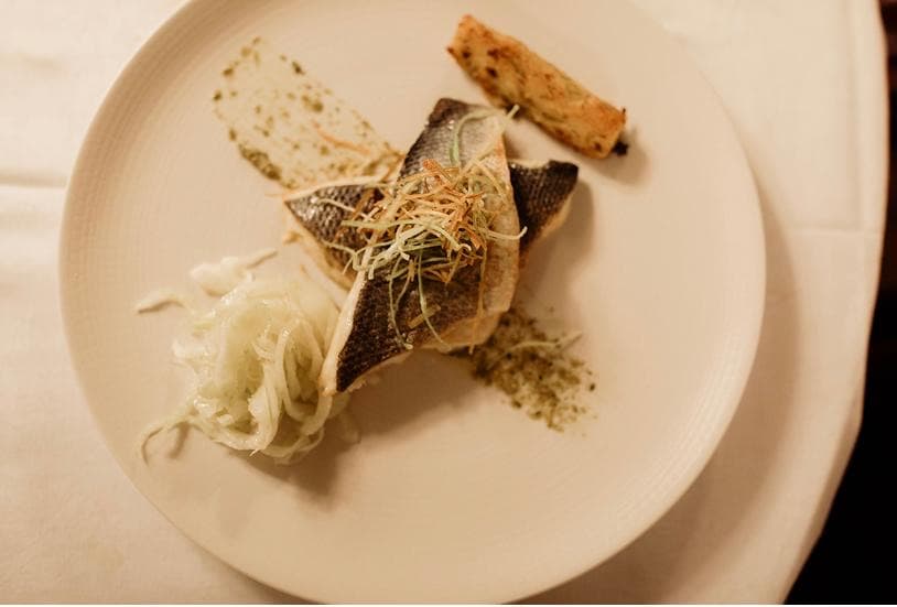 Sea bass main course plated at Temple House