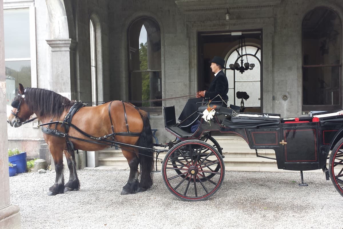 A horse and carriage in the limestone Coach Yard at Temple House