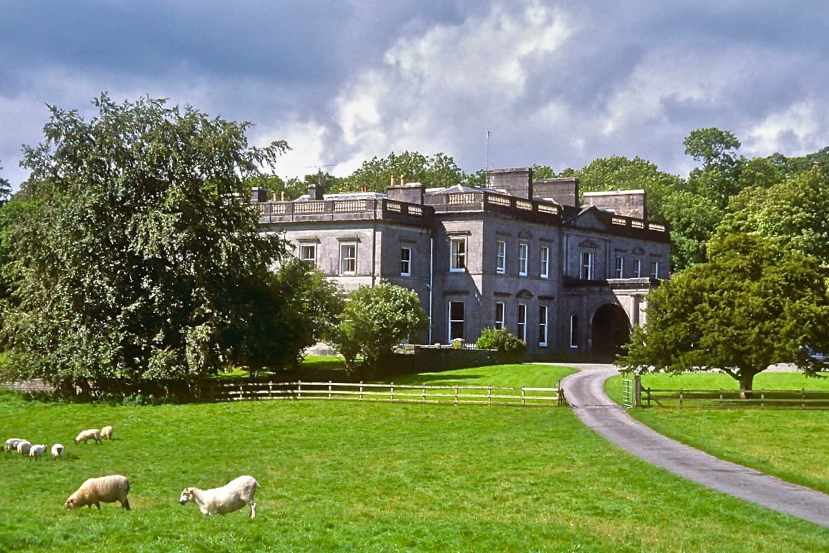 Sheep grazing the meadows of the Temple House parkland