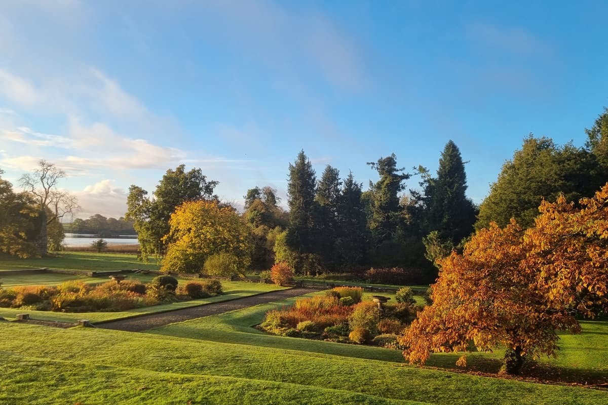 The estate in autumn