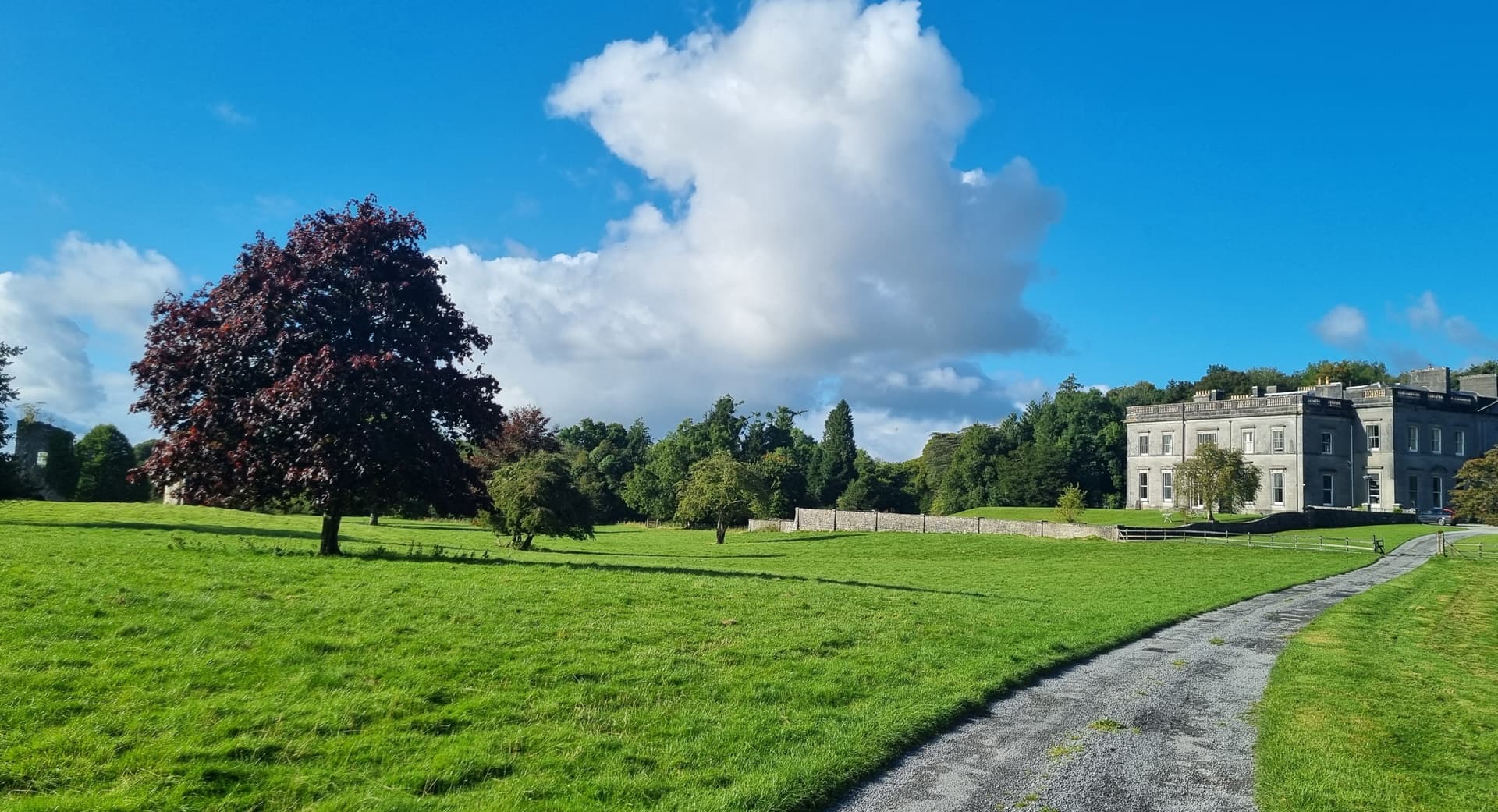 The tree-lined driveway at Temple House, County Sligo