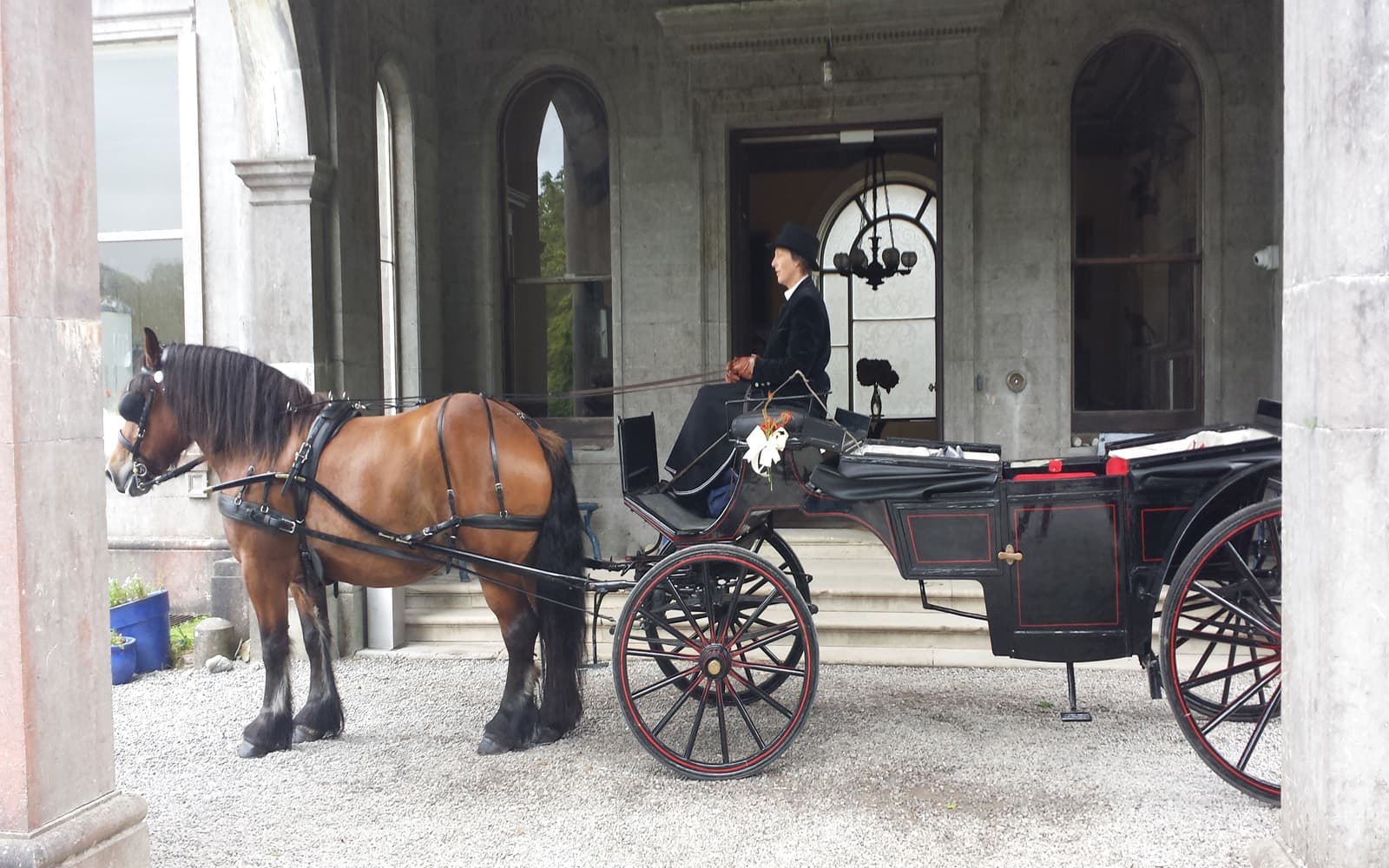Horse and carriage at Temple House